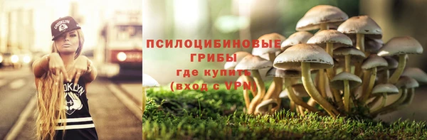 дмт Остров