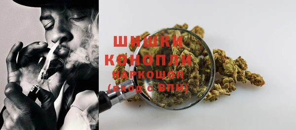 ГАЛЛЮЦИНОГЕННЫЕ ГРИБЫ Осинники
