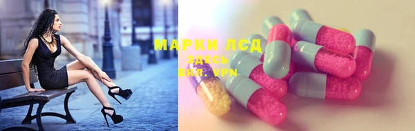 ГАЛЛЮЦИНОГЕННЫЕ ГРИБЫ Осинники