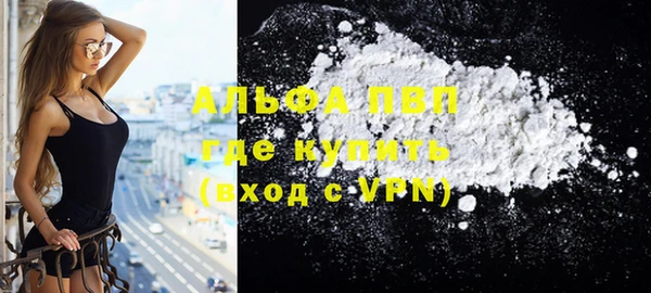 ГАЛЛЮЦИНОГЕННЫЕ ГРИБЫ Осинники