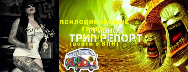 ГАЛЛЮЦИНОГЕННЫЕ ГРИБЫ Осинники