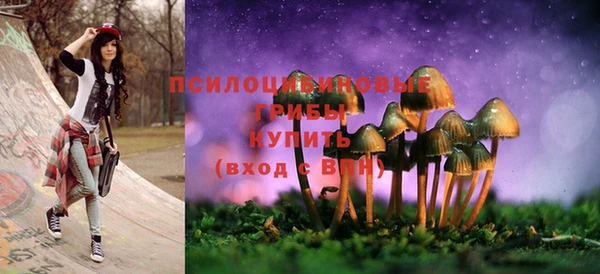ГАЛЛЮЦИНОГЕННЫЕ ГРИБЫ Осинники