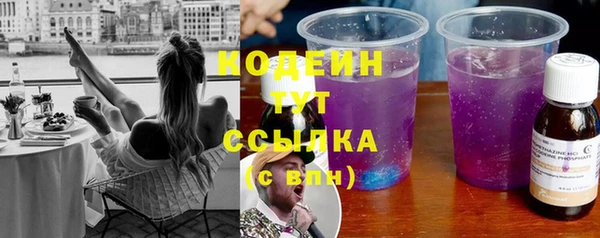 ГАЛЛЮЦИНОГЕННЫЕ ГРИБЫ Осинники