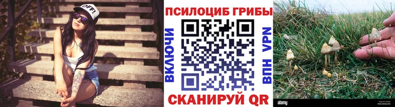 Галлюциногенные грибы MAGIC MUSHROOMS  Ачинск 