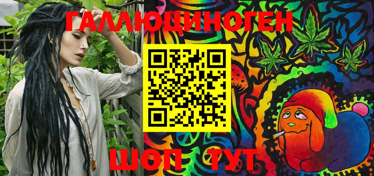 Галлюциногенные грибы Psilocybine cubensis  закладка  Галлюциногенные грибы мицелий  Ачинск 